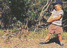 John with grasshopper