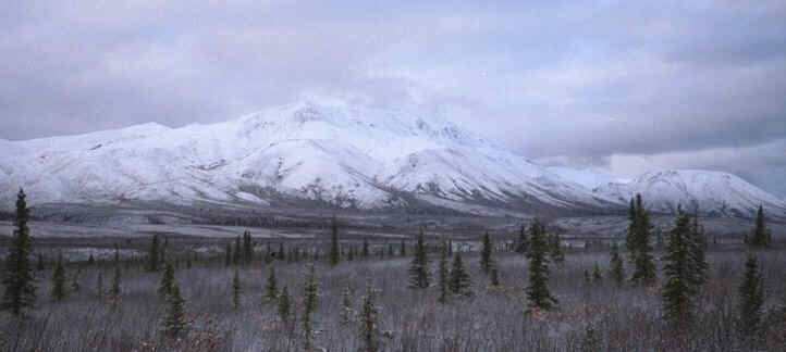 View of Mt. McKinley from Cantwell