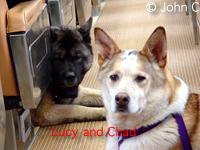 Chad and Lucy