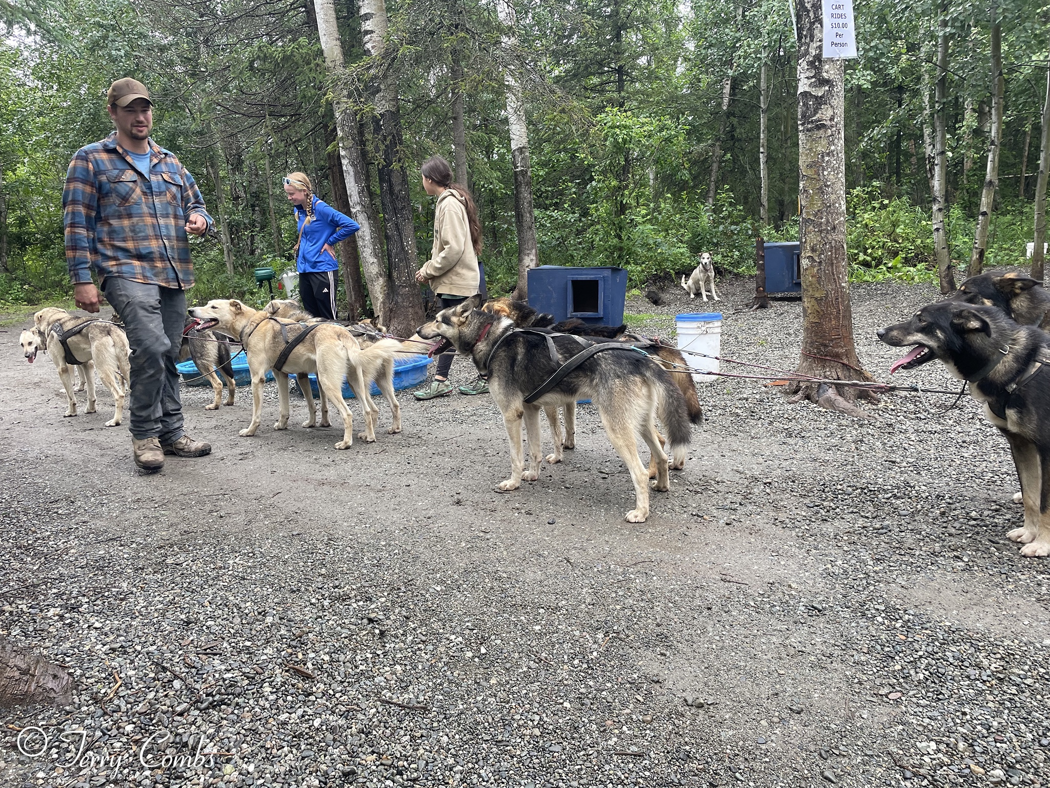 Riley and his dogs