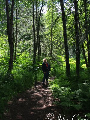 Hiking the trail