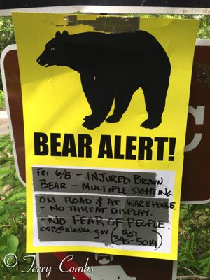 Bear Alert!